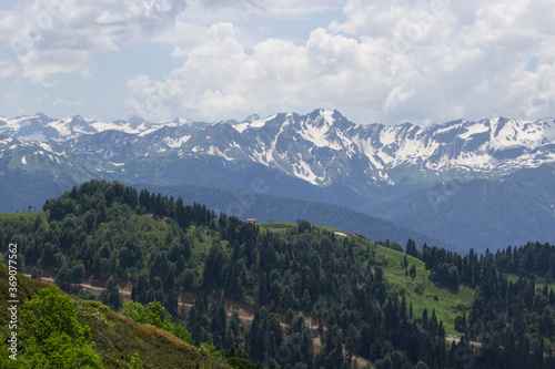 Scenic views of the mountains and forest