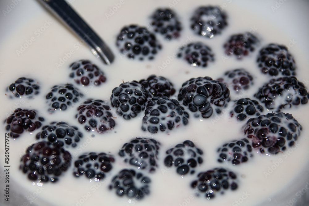 blackberry in a bowl
