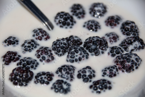 Obraz na płótnie blackberry in a bowl w salonie