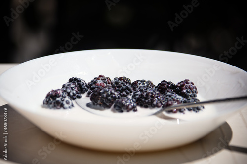 Obraz na płótnie blackberries in a white bowl w salonie
