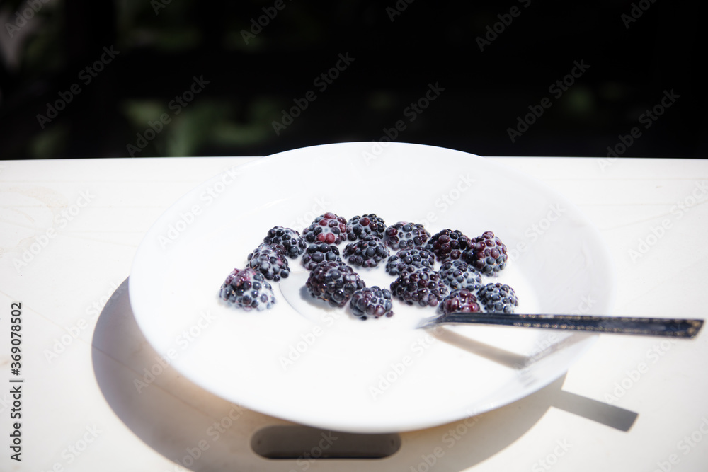 blueberries and yogurt in a white bowl