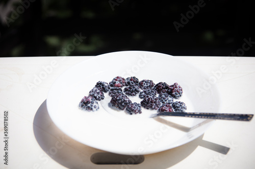 Obraz na płótnie blueberries and yogurt in a white bowl w salonie