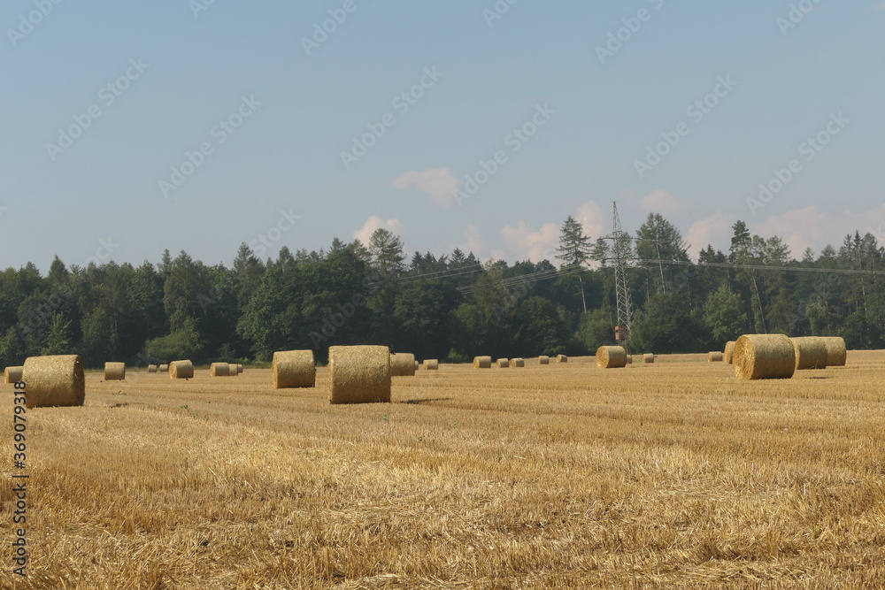 Fototapeta premium Landschaft mit Strohballen nach einer Heuernte im Sommer auf einem Feld
