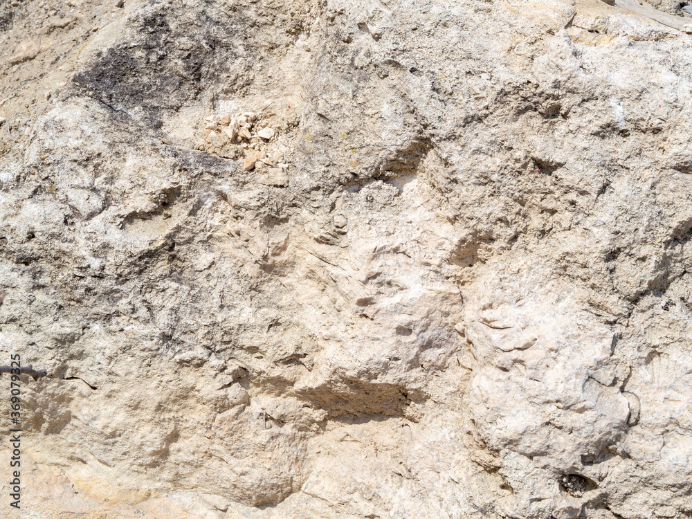 Sandstone texture. Rock background, front view Sandstone texture. Rock background, front view