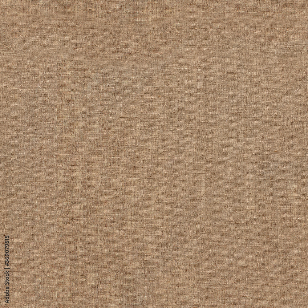 seamless fabric texture, canvas shot