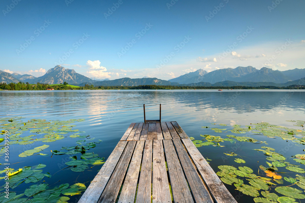 Fototapeta premium Steg am See mit Seerosen