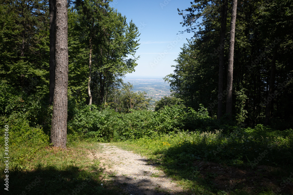 footpath in the woods with a beautiful view towards the nearby village