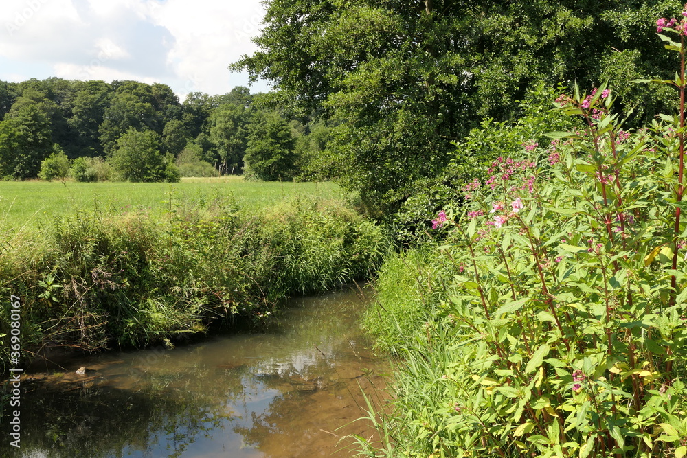 Bachlauf in einer Landschaft