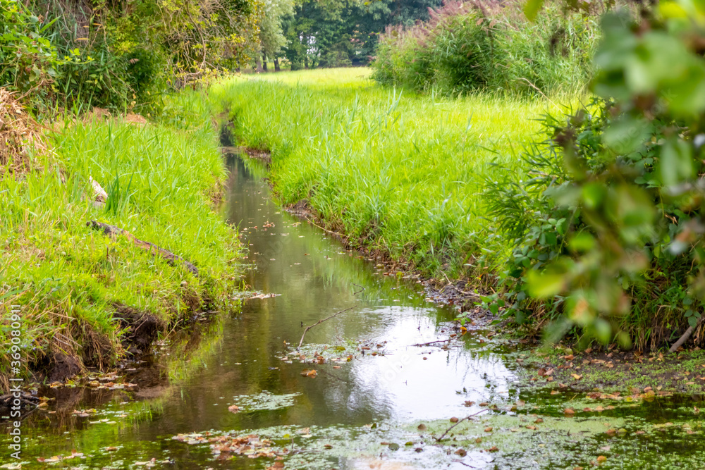 Calm floating creek with crystal clear water and idyllic scenery for a hiking tour along the waterway to relax and enjoy the nature through a green forest and a scenic wilderness with fresh air