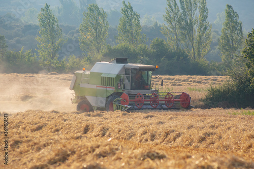Harvesting machine in a wheat field, side view © Panpiki