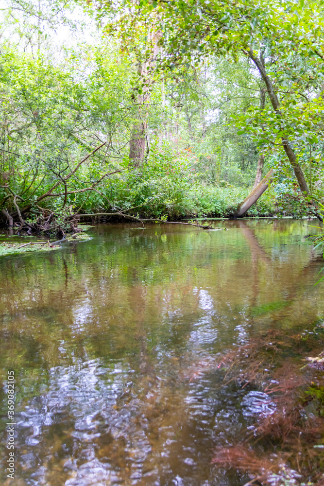 Calm floating creek with crystal clear water and idyllic scenery for a hiking tour along the waterway to relax and enjoy the nature through a green forest and a scenic wilderness with fresh air Calm floating creek with crystal clear water and idyllic scenery for a hiking tour along the waterway to relax and enjoy the nature through a green forest and a scenic wilderness with fresh air