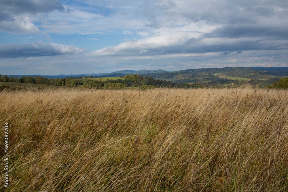 Tranquil remote meadows landscape, gentle wind in dried grass