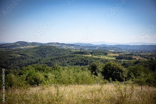 Obraz na płótnie forest in the mountains w salonie