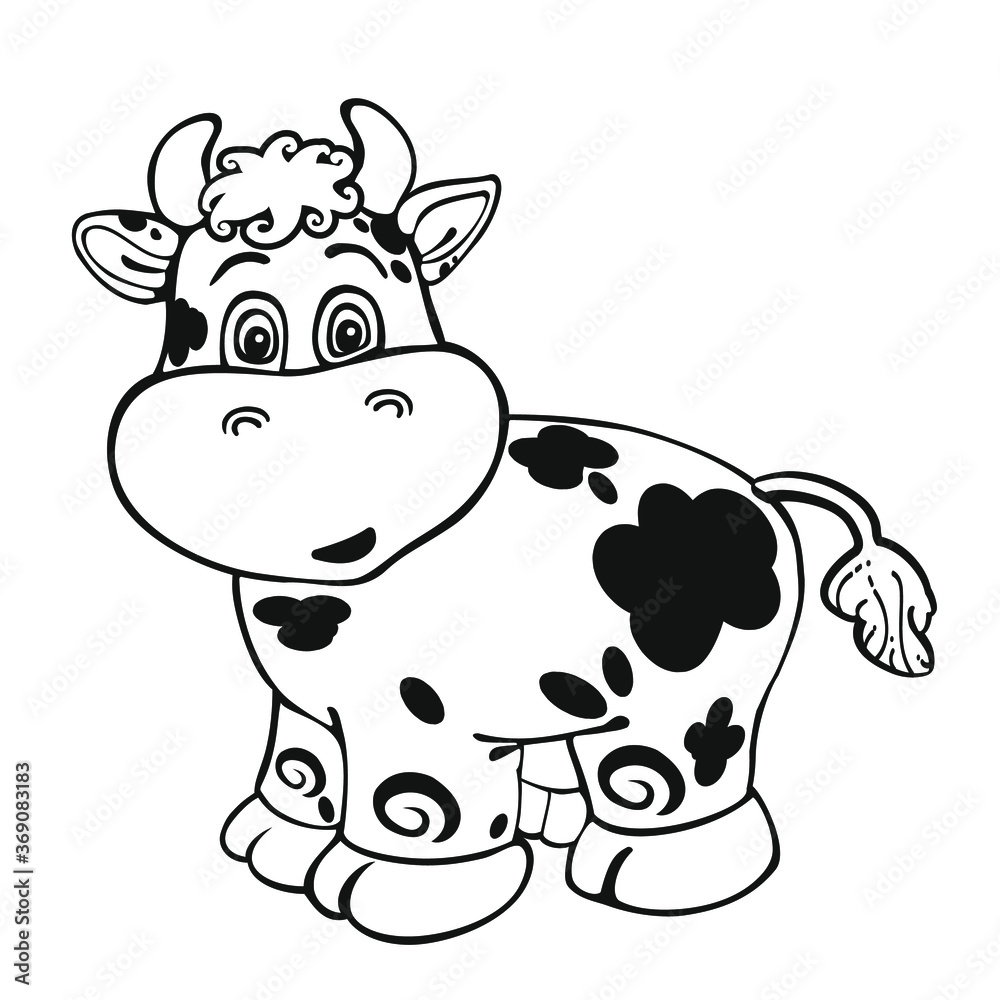 The symbol of the year is a bull in the vector. A festive black and white little calf smiles. Isolated white background, for calendar, postcards, print for packages