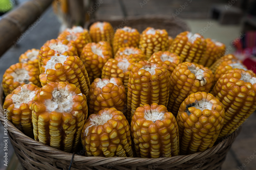 Ripe dried corn cobs,corn seeds make it dry.