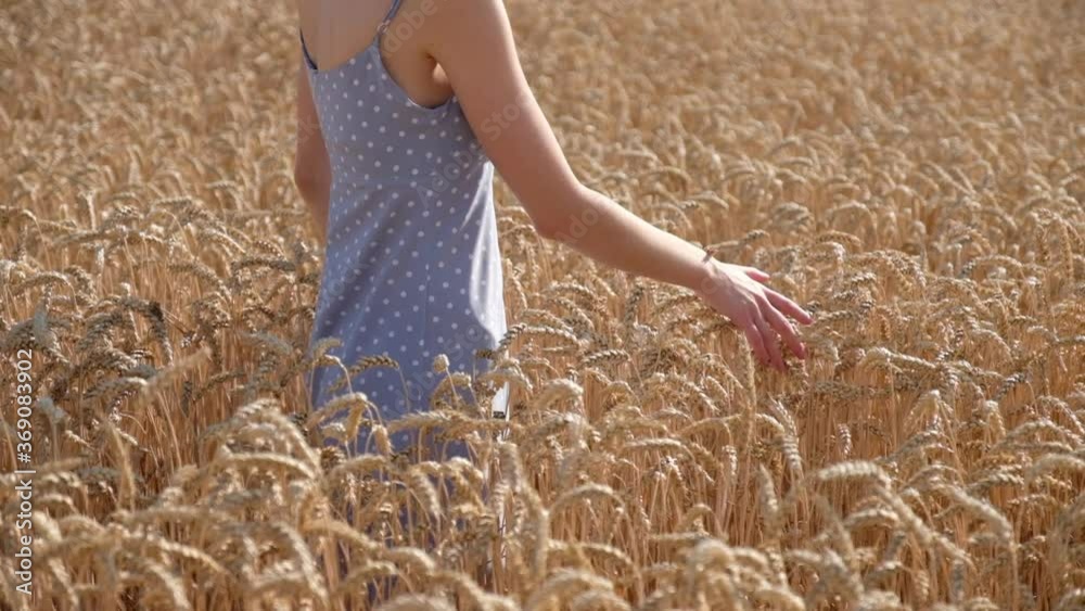 Beautiful young woman in ripe wheat field at sunset
