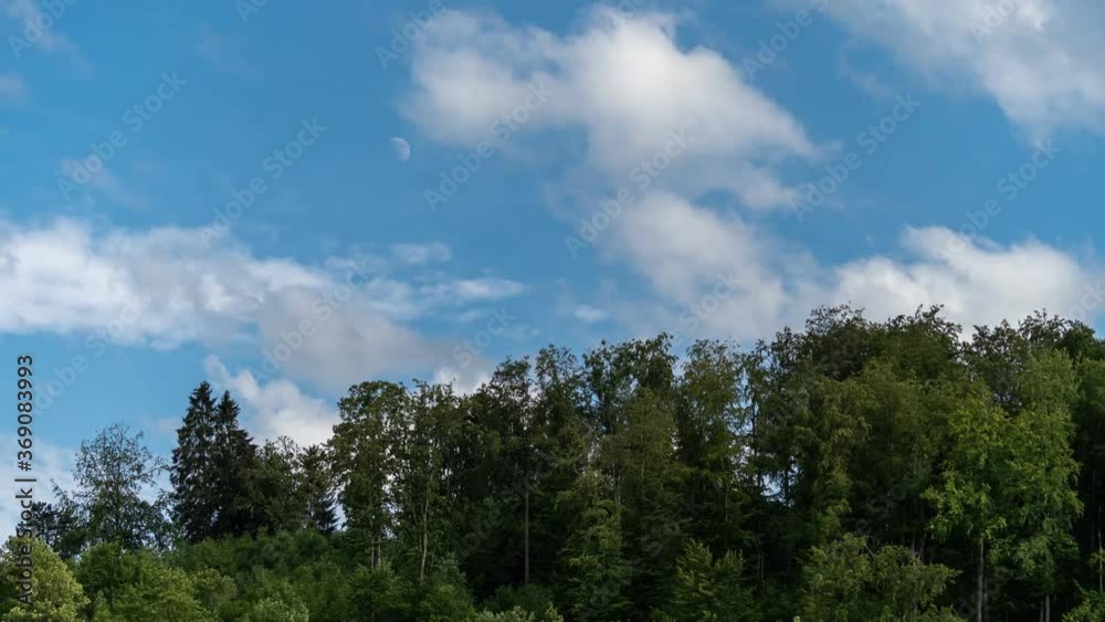 Timelapse of moving white clouds over green trees while the half moon is rising up at the early evening from left to the right. Timelapse of moving white clouds over green trees while the half moon is rising up at the early evening from left to the right.