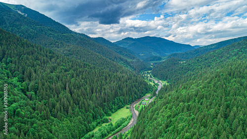 Beautiful pine trees on the background of mountains. Carpathians © Denis Rozhnovsky