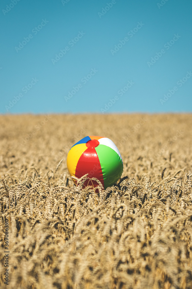 Obraz premium Beach ball in wheat field. Summer vacation at countryside. Concept of impossible travel for holiday because closed borders of countries during coronavirus covid-19 pandemic