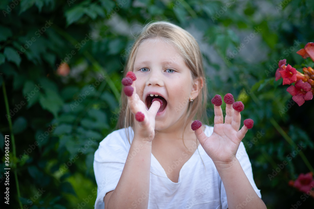 A child blonde girl with blue eyes in a white T-shirt holds raspberries on her fingers, opened her mouth to eat berries. Delicious and vitamin food. Healthy eating concept A child blonde girl with blue eyes in a white T-shirt holds raspberries on her fingers, opened her mouth to eat berries. Delicious and vitamin food. Healthy eating concept