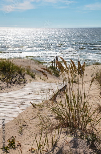 Photography Hiking trail by the sea