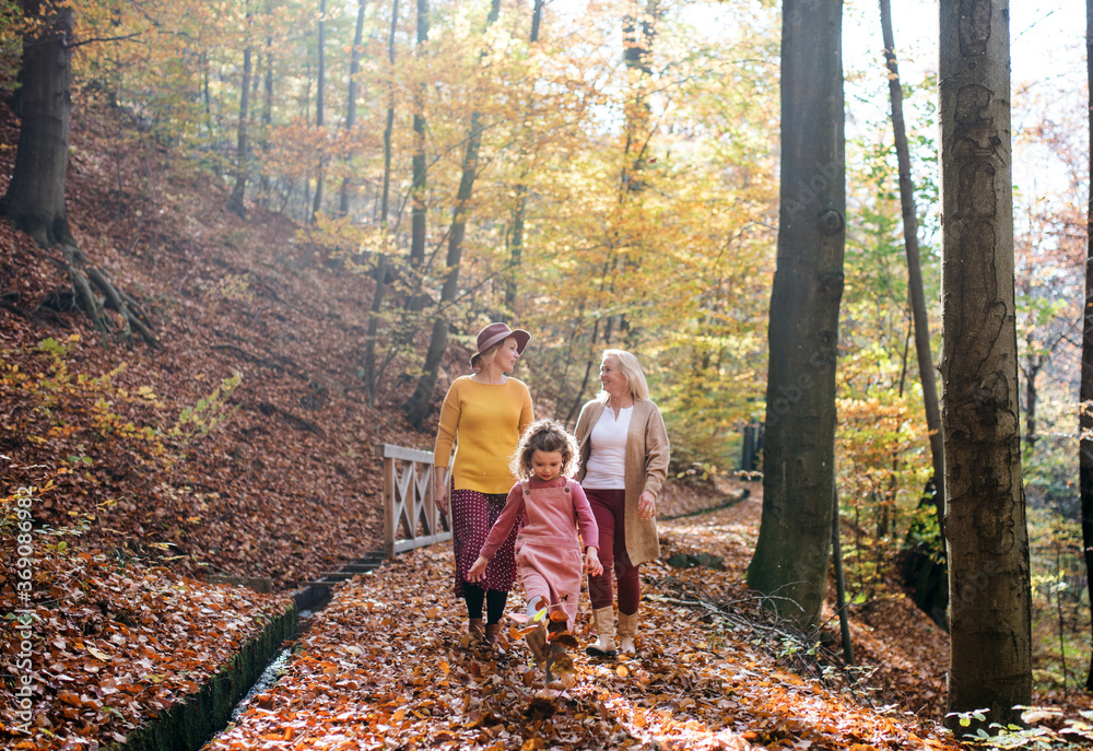 Small girl with mother and grandmother on a walk in autumn forest. Small girl with mother and grandmother on a walk in autumn forest.