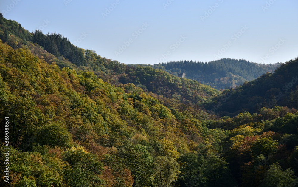 Herbstwald bei Manderscheid in der Eifel mit einem Burgturm
