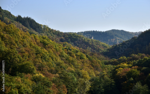 Herbstwald bei Manderscheid in der Eifel mit einem Burgturm