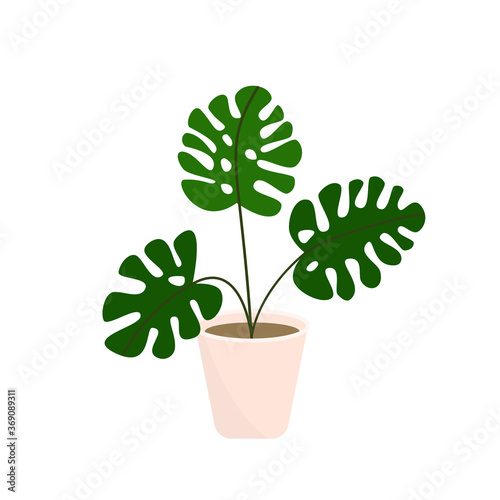 Decorative houseplants. Plants and nature homemade flowers in pot interior decoration in flat cartoon style. Vector illustration eps