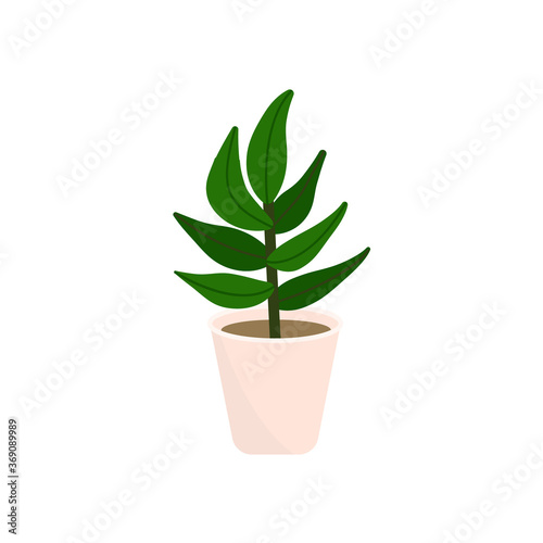 Decorative houseplants. Plants and nature homemade flowers in pot interior decoration in flat cartoon style. Vector illustration eps