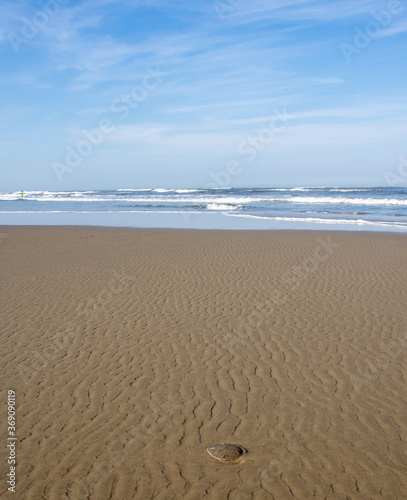 Mar com conha e formação de areia linear