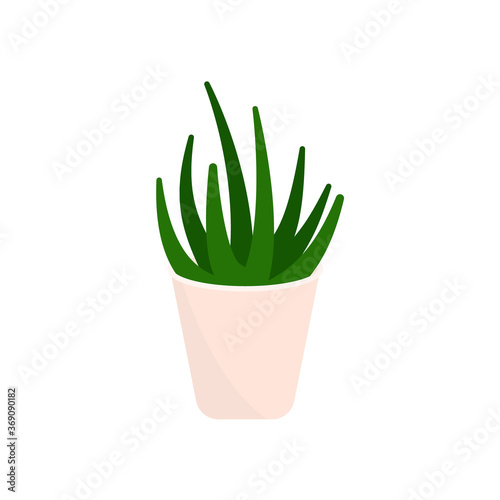 Decorative houseplants. Plants and nature homemade flowers in pot interior decoration in flat cartoon style. Vector illustration eps
