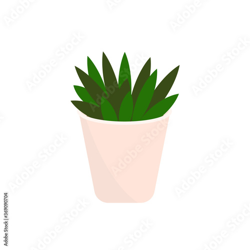 Decorative houseplants. Plants and nature homemade flowers in pot interior decoration in flat cartoon style. Vector illustration eps