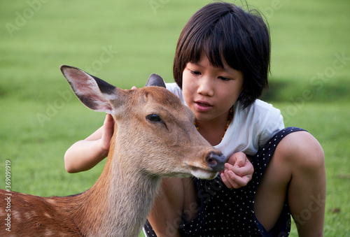 Asian little girl with sika deer, in Nara, Japan photo