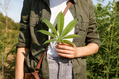 Female demonstrating leaf of marijuana