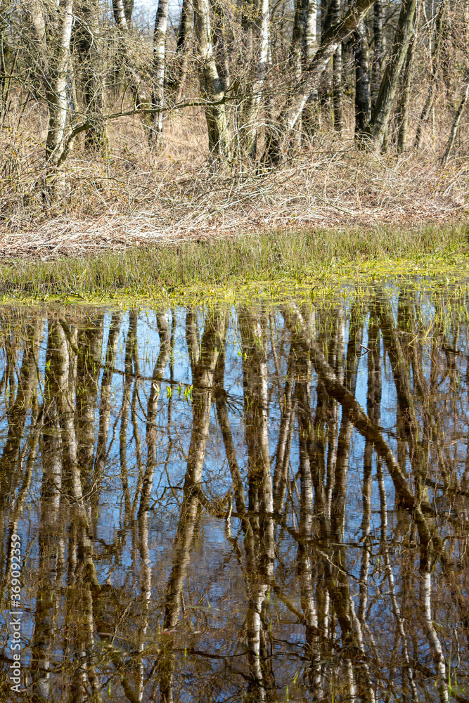 Empe, Netherlands - april 2020 Empe, Netherlands - april 2020