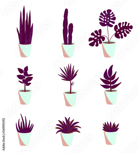Decorative houseplants. Plants and nature homemade flowers in pot interior decoration in flat cartoon style. Vector illustration eps