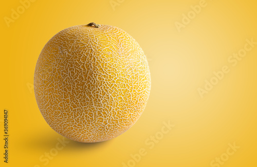 Galia melon on color background with space for copy