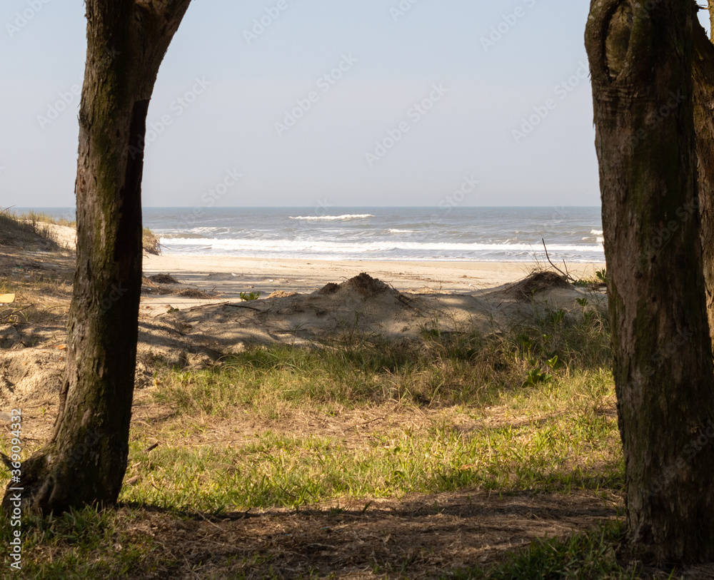 Uma janela para o mar azul em meio a natureza