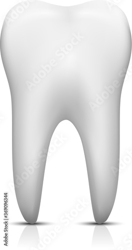 Vector tooth isolated on white background.