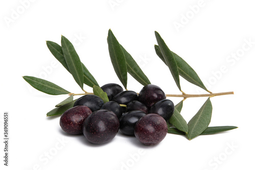 fresh olives isolated