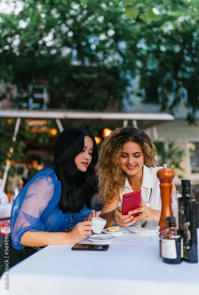 Two beautiful young girlfriends sitting in cafe. Two beautiful young girlfriends sitting in cafe.