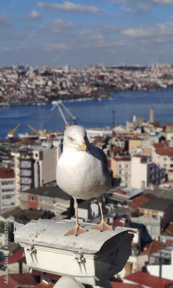 You have to look at the wonder of nature.
You have to look at the wonder of nature.