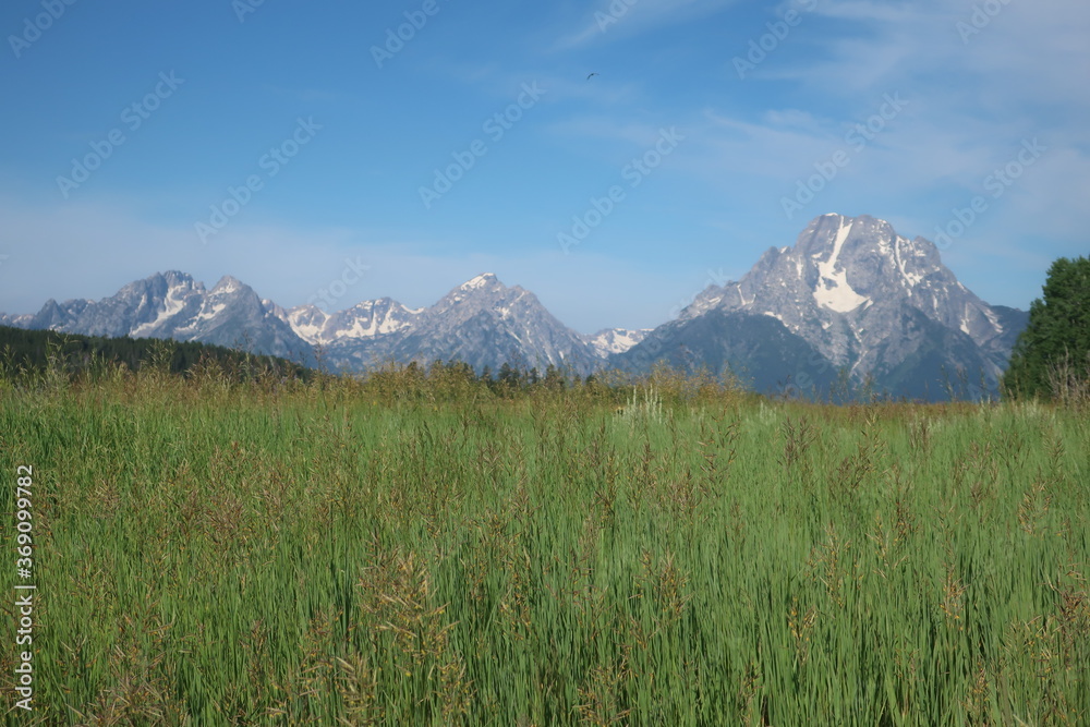 Nature and environment in the Tetons, Wyoming