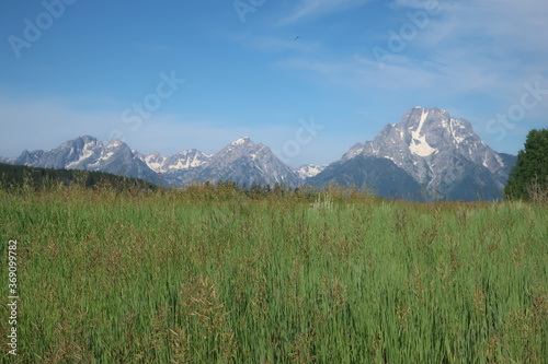 Nature and environment in the Tetons, Wyoming © Rob