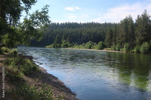 Slow moving, wide river surrounded by trees