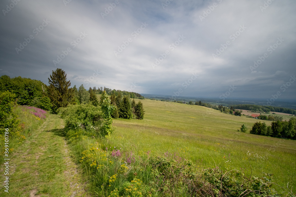 Obraz premium valley view of meadows and forests with clouds in the sky