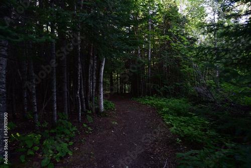 Judge C.R. Magney State Park