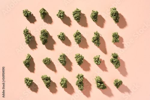 dried cannabis buds photo