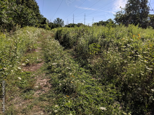 The Meadoway in Scarborough, Ontario. The Meadoway is transforming a hydro corridor into a vibrant 16-kilometre stretch of urban greenspace and meadowlands that will become one of Canada’s largest lin photo